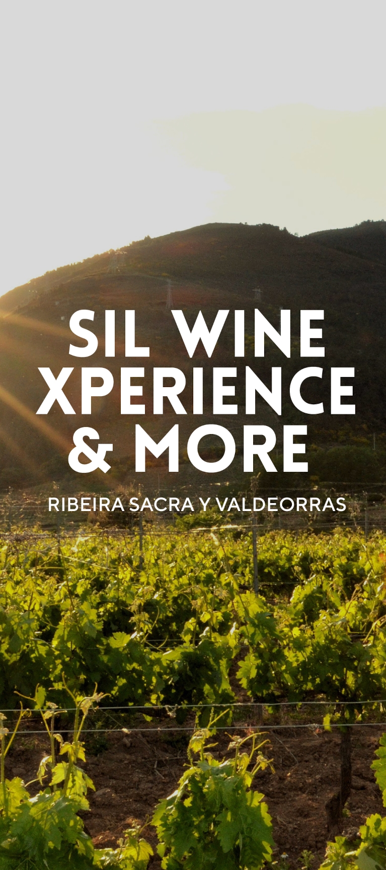 Slider-SIL-WINE-movil